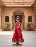 Innovative Jimmy-chu Beautiful Embroidery work Fabric Lahenga Choli