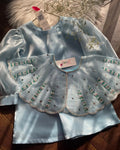 Aaira Organza Cape Top Set