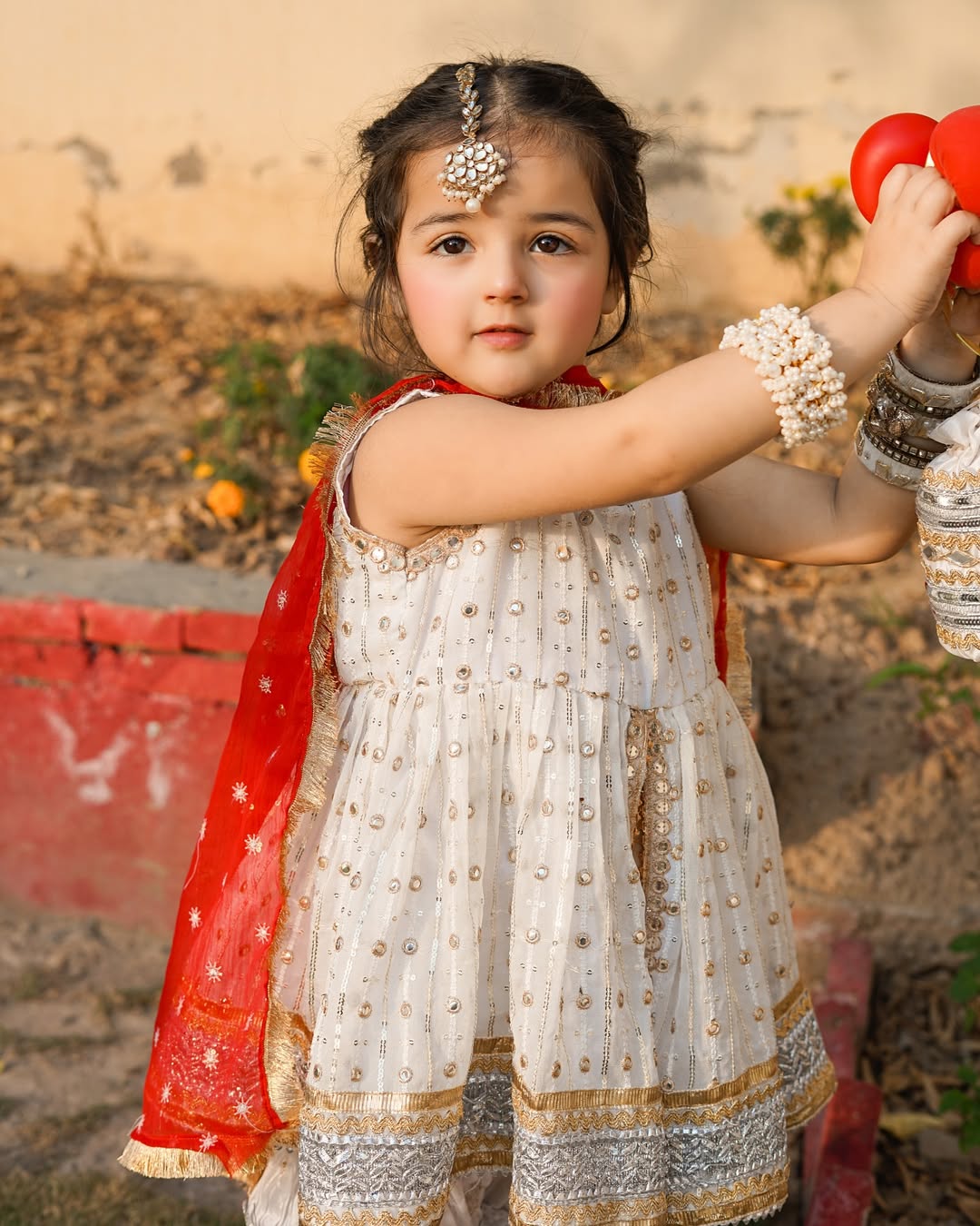 Zarika Royal Ivory & Red Festive Sharara Set