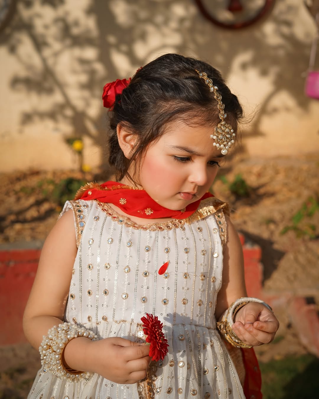 Zarika Royal Ivory & Red Festive Sharara Set
