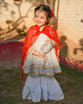 Zarika Royal Ivory & Red Festive Sharara Set