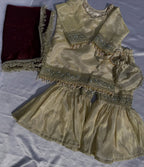 Vanya Royal Sharara Set