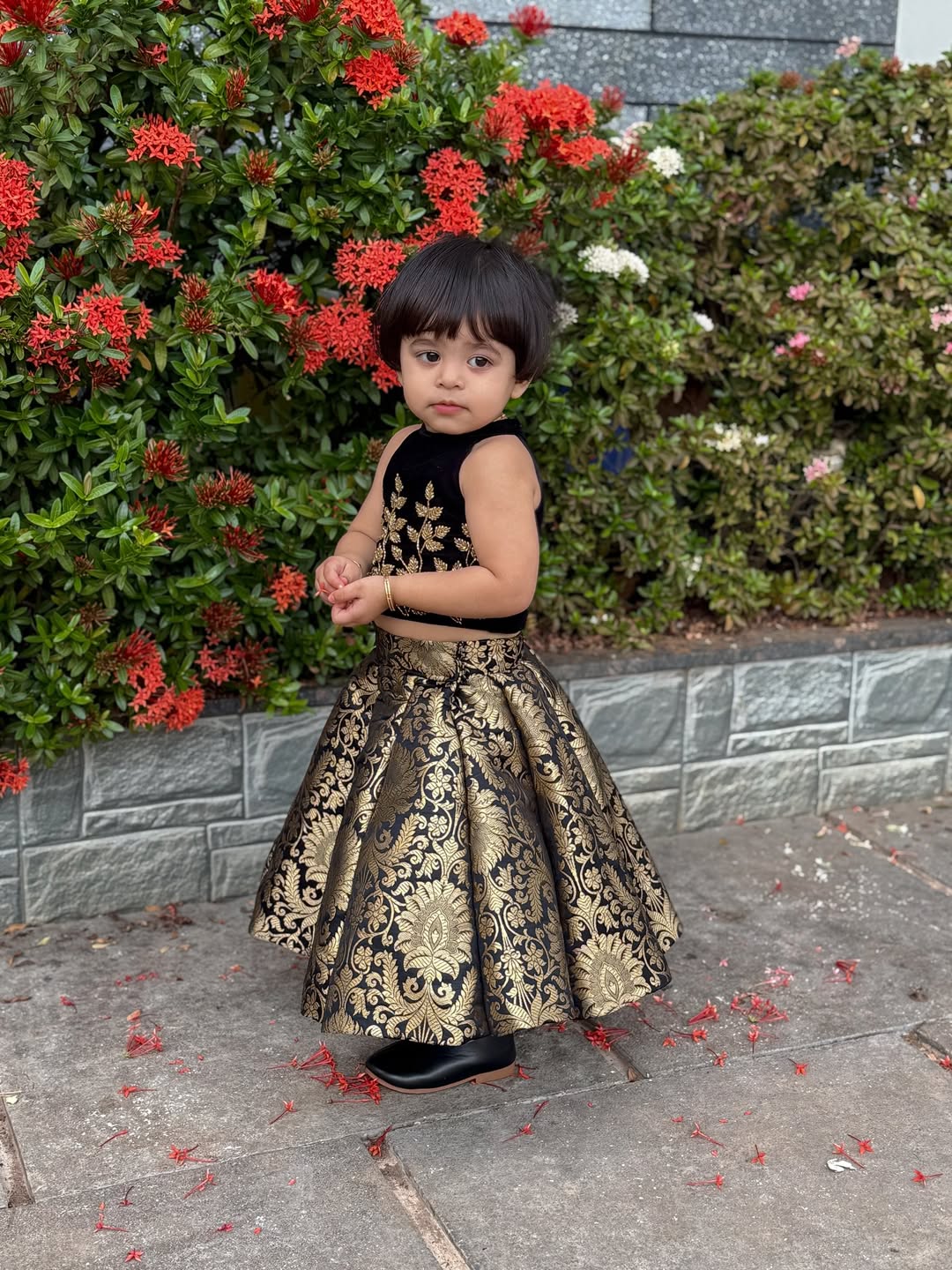 Rahi Royal Black & Gold Lehenga Set