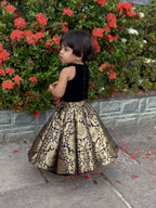 Rahi Royal Black & Gold Lehenga Set