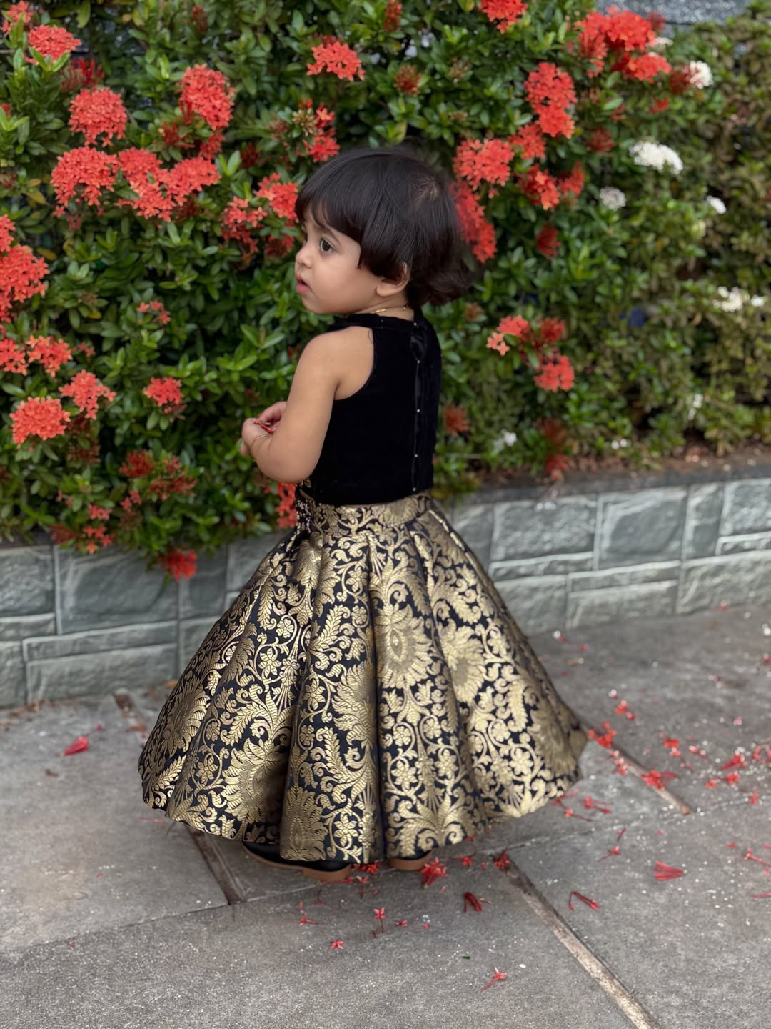 Rahi Royal Black & Gold Lehenga Set