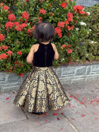 Rahi Royal Black & Gold Lehenga Set