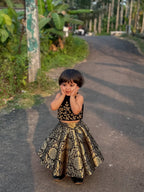 Rahi Royal Black & Gold Lehenga Set