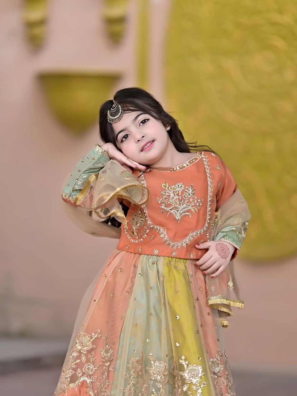 Aarohi Royal Pastel Embroidered Princess Gown Set
