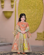 Aarohi Royal Pastel Embroidered Princess Gown Set