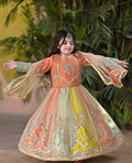 Aarohi Royal Pastel Embroidered Princess Gown Set