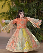 Aarohi Royal Pastel Embroidered Princess Gown Set