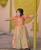 Aarohi Royal Pastel Embroidered Princess Gown Set