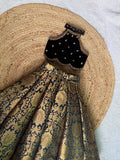 Vanya Regal Charm Lehenga Set
