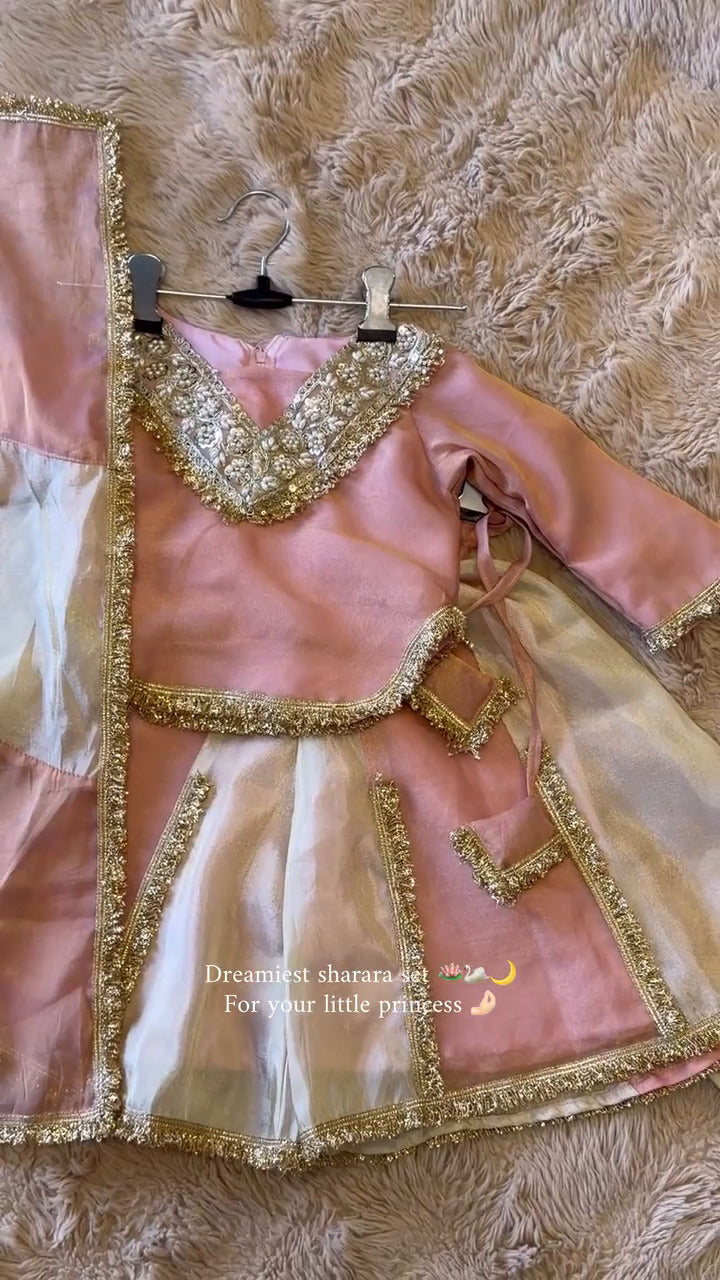 Blush Pink Princess Sharara Set