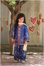 kavya Embroidered Ethnic Kurta Shalwar Set