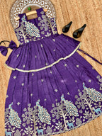 Effortless Embroidery Work Pure Gold crush Lehengha and Top for Kids