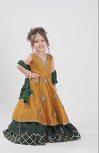 Aaradhya Mustard Royale Lehenga Set