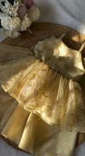 Aadhya Royal Gold Party Sharara Set