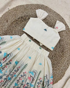 Delightful Desirable Pure Cotton Silk Lehengha Choli