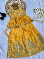 Effortless Embroidery Work Pure Gold crush Lehengha and Top for Kids