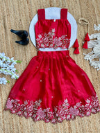 Innovative Jimmy-chu Beautiful Embroidery work Fabric Lahenga Choli
