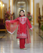 Royal Elegance: Deep Purple And Red Embroidered Plazo Set